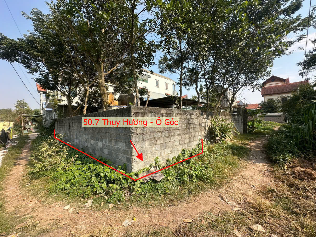 Hình ảnh Bán Lô Góc 2 Mặt Tiền Sát Trục Kinh Doanh Ngay Trung Tâm Xã Thụy Hương Chương Mỹ 