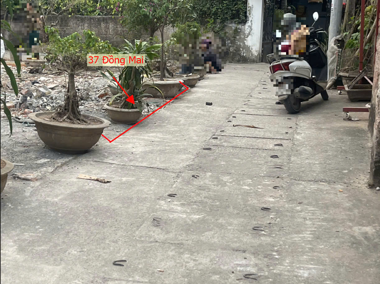 Hình ảnh Bán Đất Đồng Mai Sát Trục Chính Kinh Doanh Liên Huyện Gần Khu Đất Dịch Vụ Sinh Thái Đồng Mai 