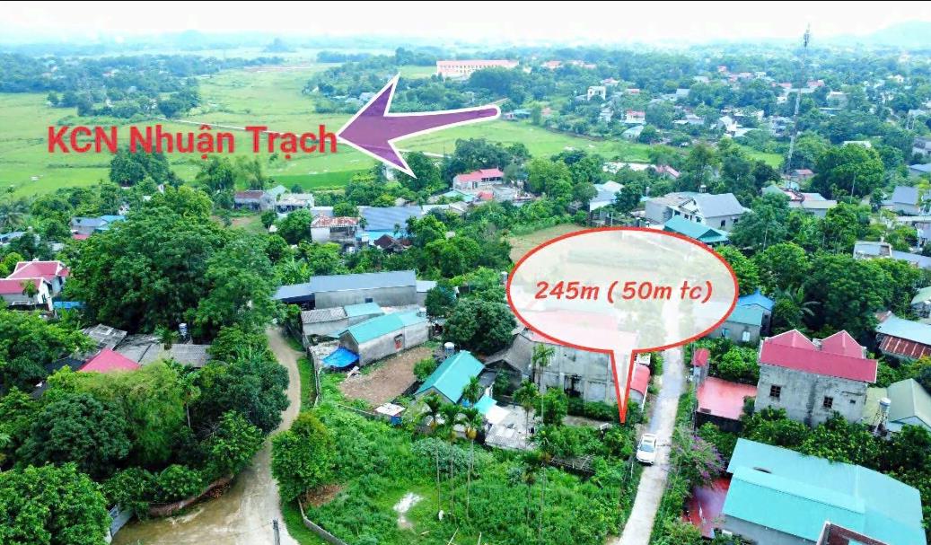 Hình ảnh Bán Lô Đất 245m Tại Nhuận Trạch Lương Sơn Bám Đường Bê Tông Ô Tô Vào Tận Đất Dân Cư Đông Đúc Thân Thiện Gần Chợ Trường Học Ủy Ban Giá Đầu Tư