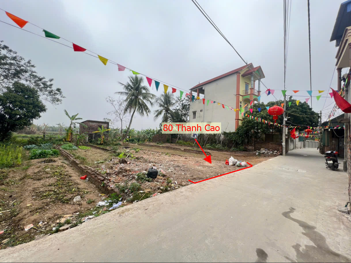 Hình ảnh Bán Đất Thanh Cao Ô Tô Vào Tận Đất Sát Trục Kinh Doanh Ngay Trung Tâm Xã Thanh Cao 