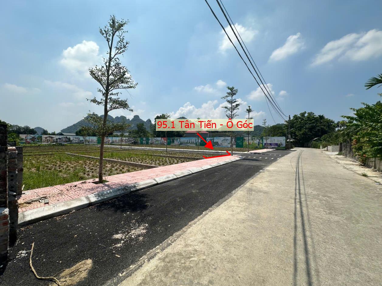 Hình ảnh Đất Phân Lô Đồi Chè Tân Tiến Ô Tô Vào Tận Đất Sát Trục Chính Kinh Doanh Liên Xã Ngay Gần QL21A