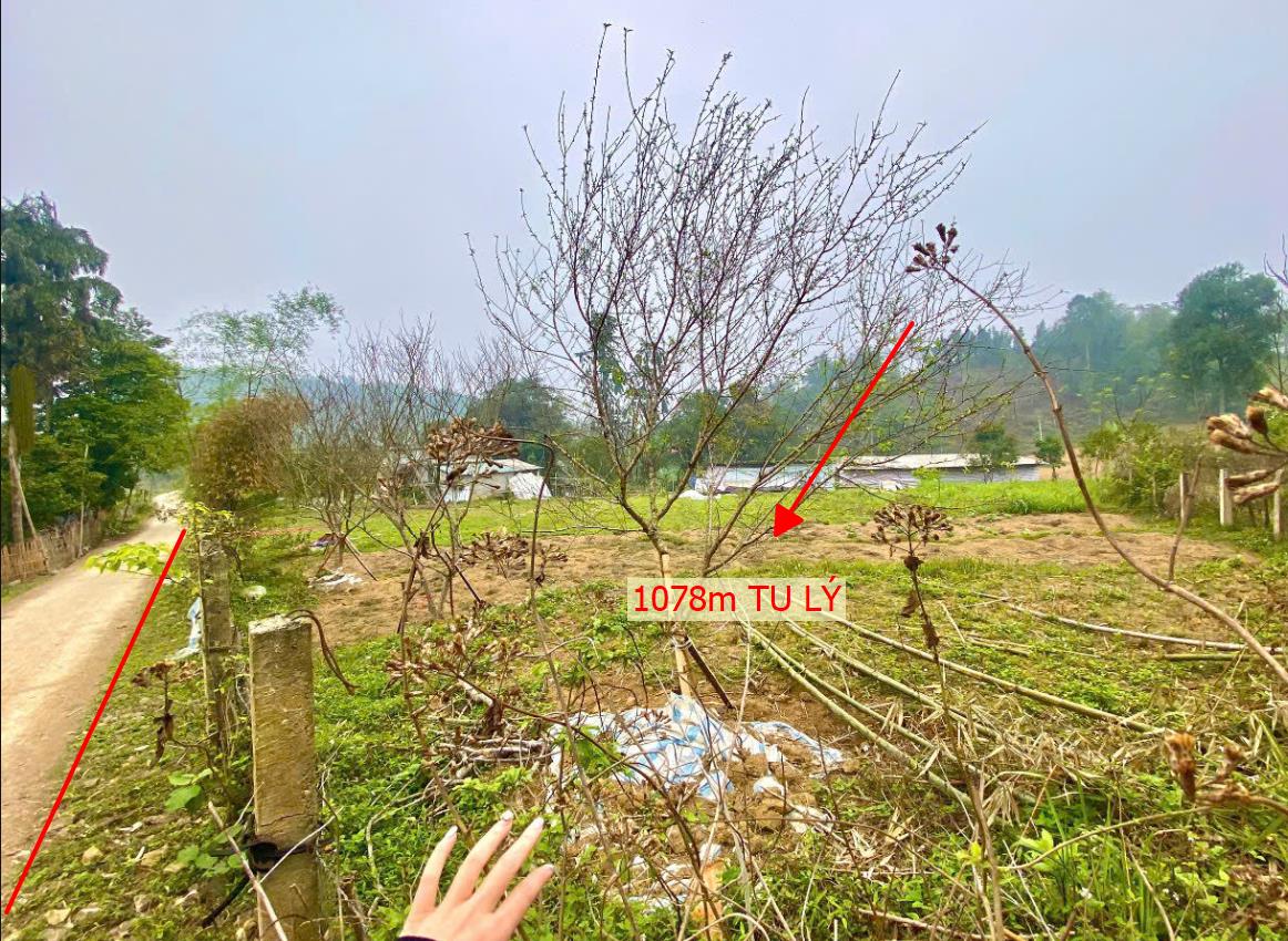 Hình ảnh Bán Lô Đất Nghỉ Dưỡng Hơn 1000m Tại Tu Lý Đà Bắ Bám Đường Bê Tông Ô Vào Tận Đất Giá Chỉ Vài Trăm Triệu
