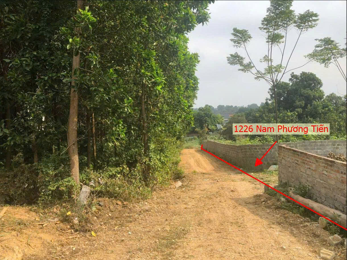 Hình ảnh Bán Thửa Đất 1226m Tại Nam Phương Tiến Ô Tô Đỗ Tận Đất Sát Trục Kinh Doanh Gần Hồ Văn Sơn Thoáng Mát