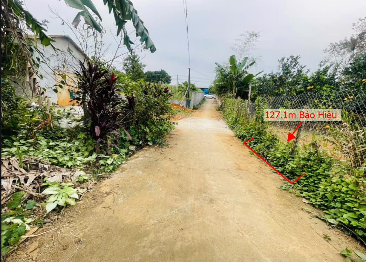 Hình ảnh Bán Đất Phân Lô Tại Bảo Hiệu Yên Thủy Bám ĐƯờng Bê Tông Ô Tô Vào Tận Đất Dân Cư Đông Đúc  Gần Chợ Trường Học ỦY Ban Giá Đầu Tư