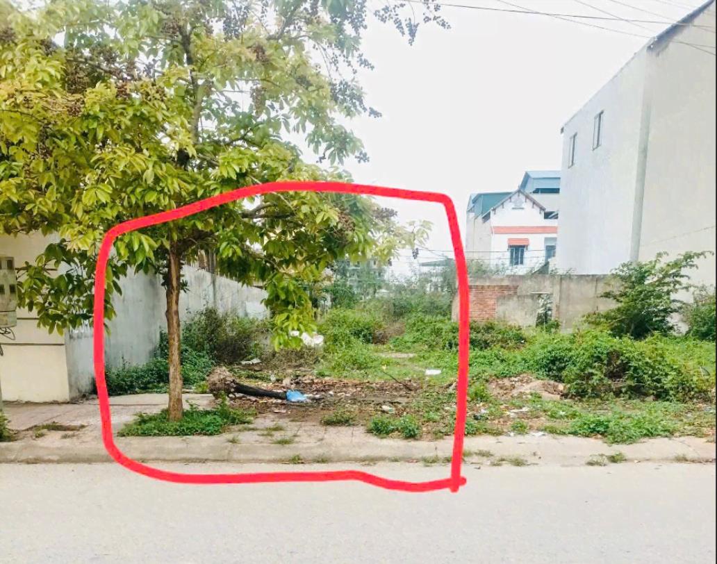 Hình ảnh Bán Lô Đất 100m Tại Bình Xuyên Bám Đường Bê Tông Ô Tô Vào Tận Đất Dân Cư Đông Đúc Thân Thiện Dân Cư Đông Đúc Thân Thiện Giá Đầu Tư