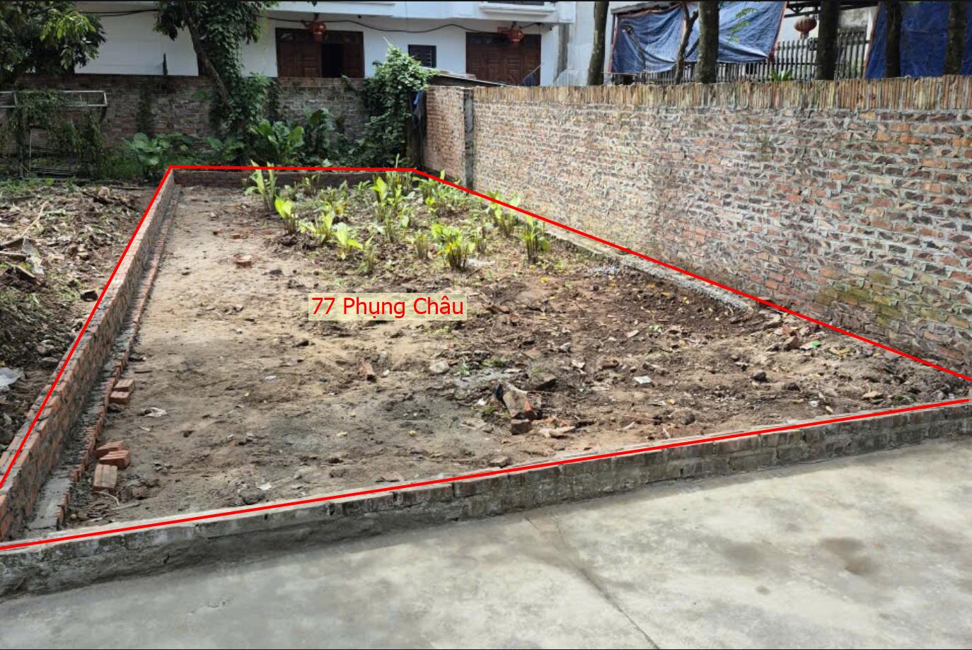 Hình ảnh Bán Đất Full Thổ Cư 77m Tại Phụng Châu Sát Trục Chính Kinh Doanh Liên Huyện Giá Chỉ Vài Tỷ