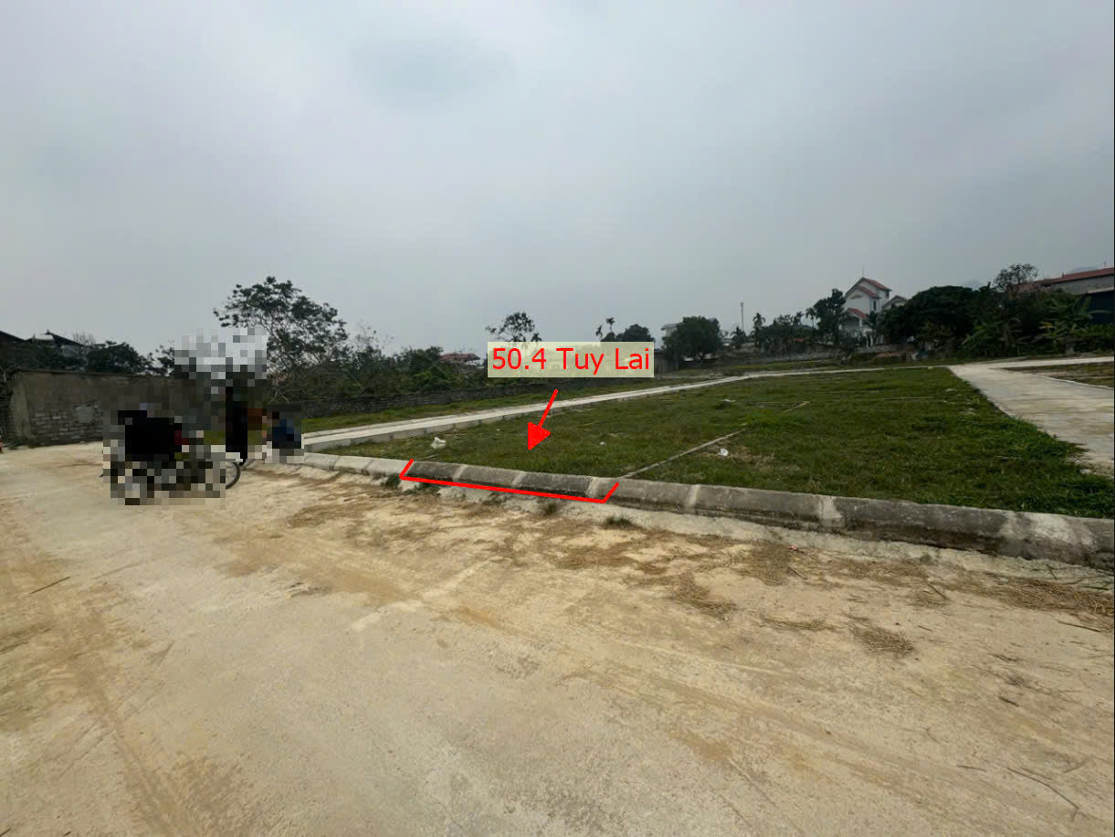 Hình ảnh Bán Đất Phân Lô Tuy Lai Đường Ô Tô Tránh Sát Trục Kinh Doanh Gần Trường Học Các Cấp Của Xã 