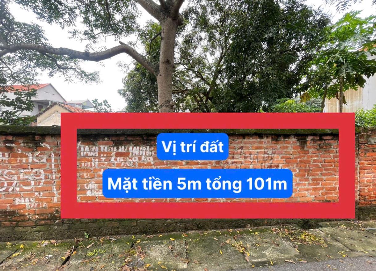 Hình ảnh Bán Lô Đất 101.1m Tại Đồng Tâm Vĩnh Yên Dân Cư Đông Đúc Thân Thiện Gần Chợ Trường Học Ủy Ban Giá Đầu Tư