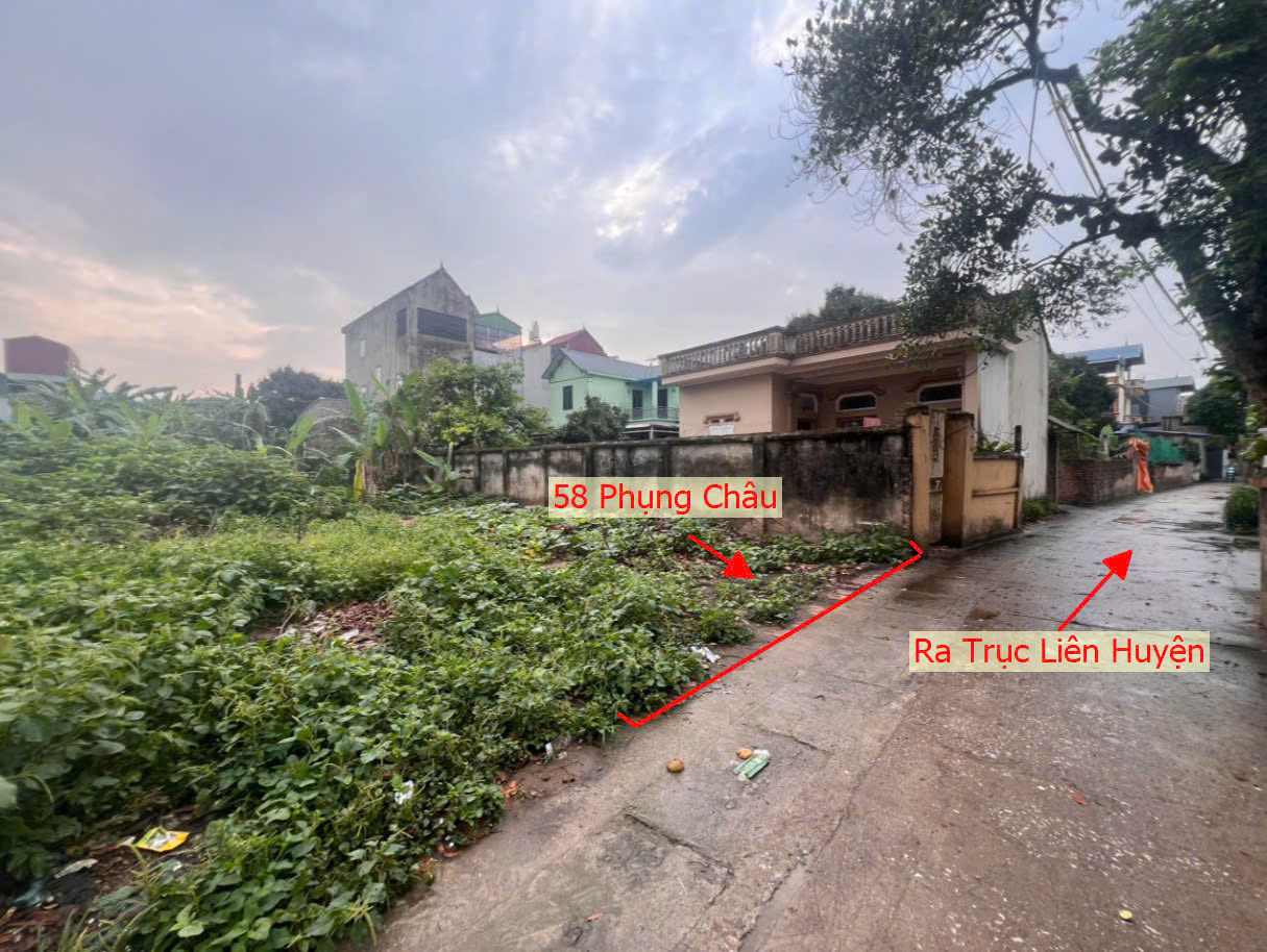 Hình ảnh Bán Thửa Đất 58m Tại Phụng Châu Full Thổ Cư Ô Tô Đỗ Tận Đất Gần Trục Chính Kinh Doanh Liên Huyện 