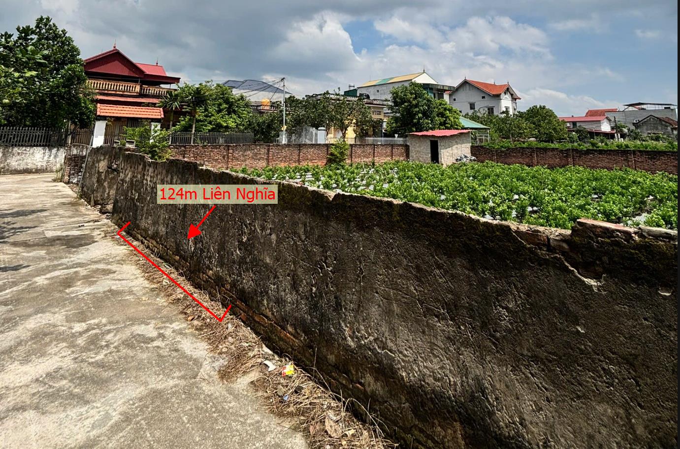 Hình ảnh Bán Lô Đất 124m Tại Liên Nghĩa Văn Giang Bám Đường Bê Tông Ô Tô Vào Tận Đất Dân Cư Đông Đúc Thân Thiện Gần Chợ Ủy Ban Giá Đầu Tư