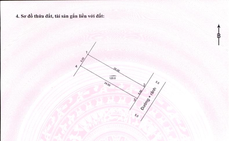 Hình ảnh Bán Đất Full Thổ Cư 120m Tại Hoàng Văn Thụ Đường Thông Ô Tô Gần Mặt Đường Kinh Doanh QL21A