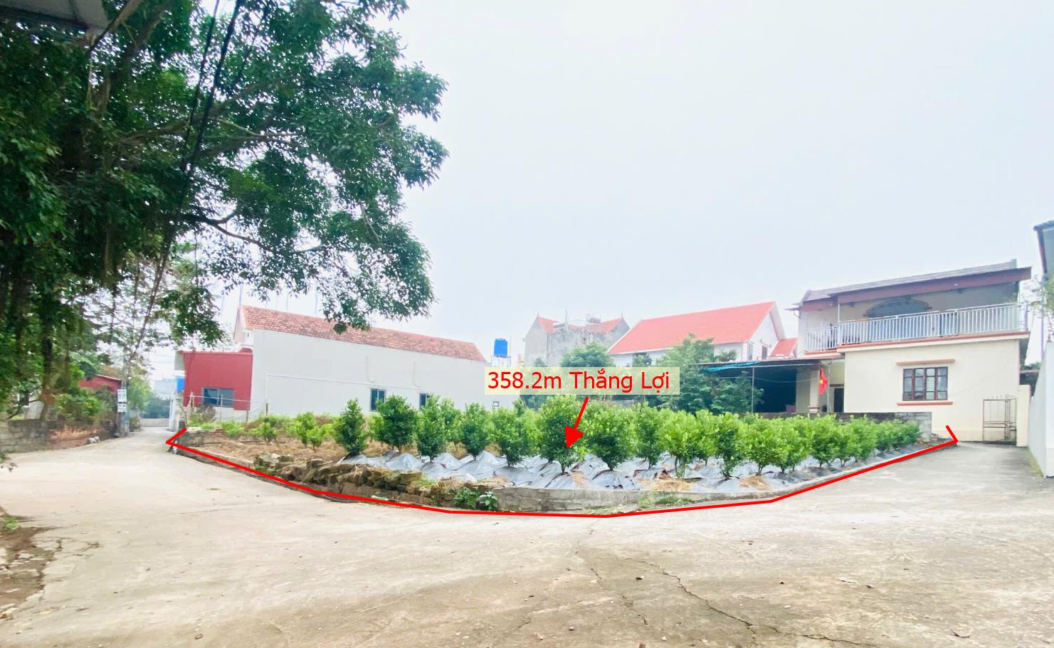 Hình ảnh Bán Lô Đất 385.2m Tại Văn Giang Bám Đường Bê Tông Ô Tô Vào Tận Đất Dân Cư Đông  Gần Chợ Trường Học Ủy Ban Lô Góc 2 Mặt Tiền Phù Hợp Phân Lô