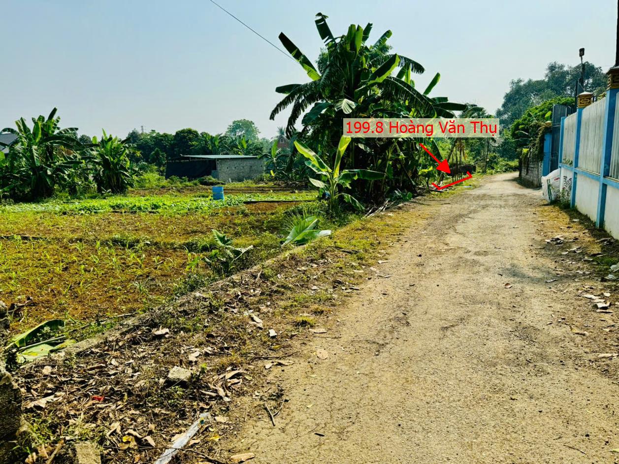 Hình ảnh Bán Thửa Đất 199.8m Tại Hoàng Văn Thụ Đường Thông Ô Tô Gần QL21A Hồ Văn Sơn, Khu Nghỉ Dưỡng Skylake
