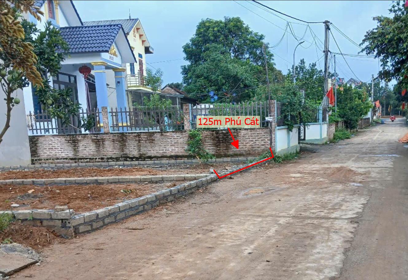 Hình ảnh Bán Lô Đất 125m Tại Phú Cát Quốc Oai Bám Đường Bê Tông Ô Tô Vào Tận Đất Dân Cư ĐÔng Đúc Thân Thiện Giá Đầu Tư