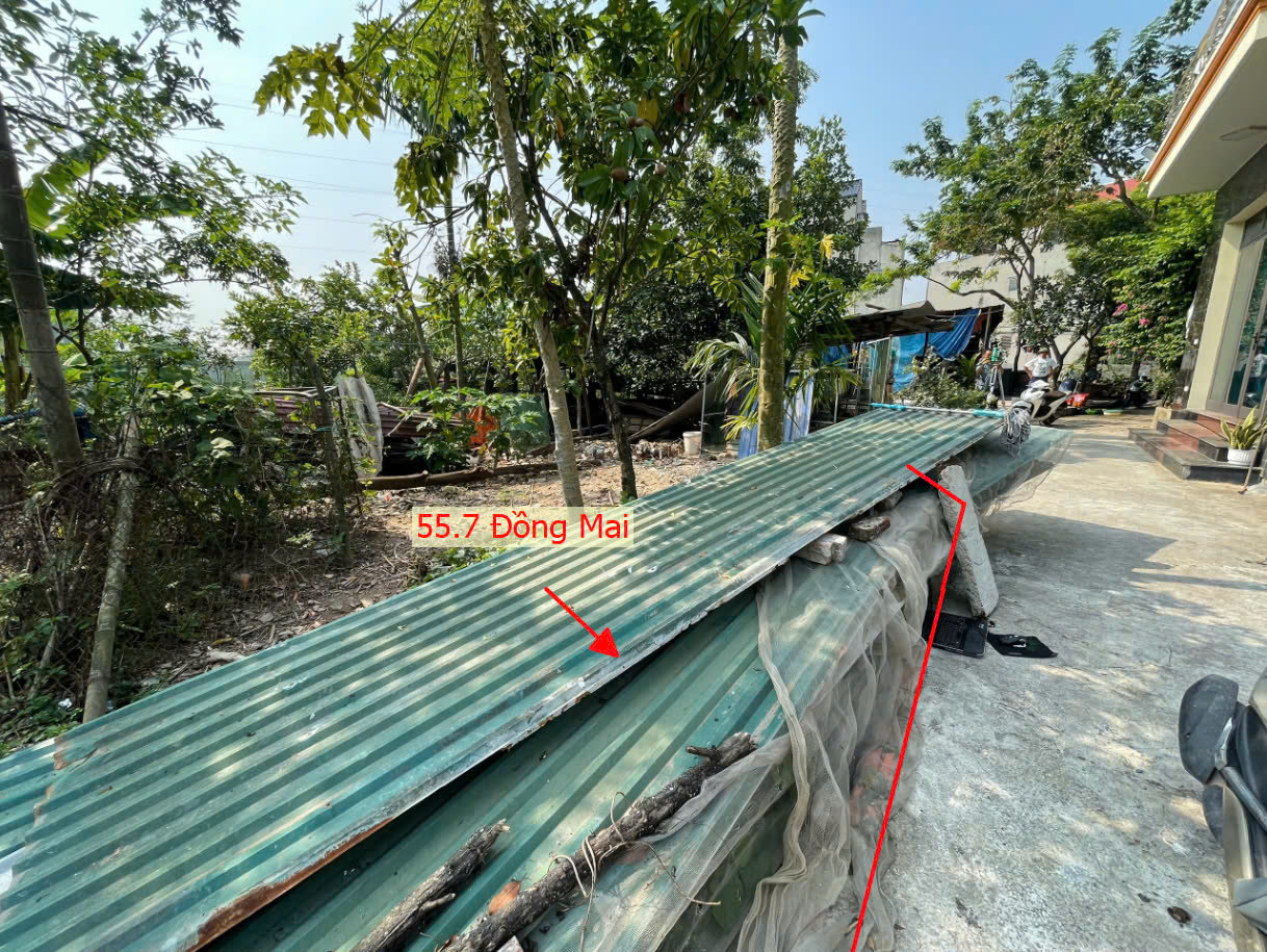 Hình ảnh Bán Đất Đồng Mai Sát Trục Chính Kinh Doanh Gần Khu Đất Dịch Vụ Sinh Thái Đồng Mai 