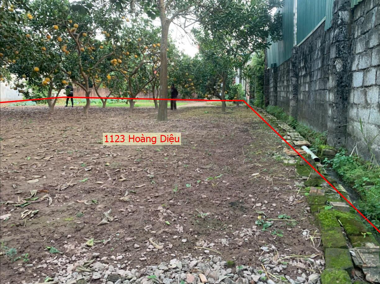 Hình ảnh Bán Thửa Đất 1123m Tại Hoàng Diệu Ô Tô Đỗ Tận Đất Gần Trục Kinh Doanh Liên Xã 