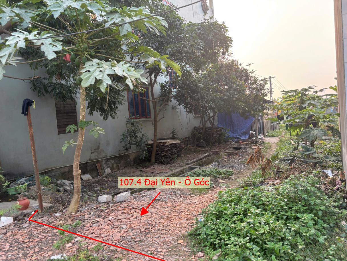 Hình ảnh Bán Lô Góc 2 Mặt Thoáng Full Thổ Cư 107.4m Tại Đại Yên Mặt Đường Kinh Doanh TL419