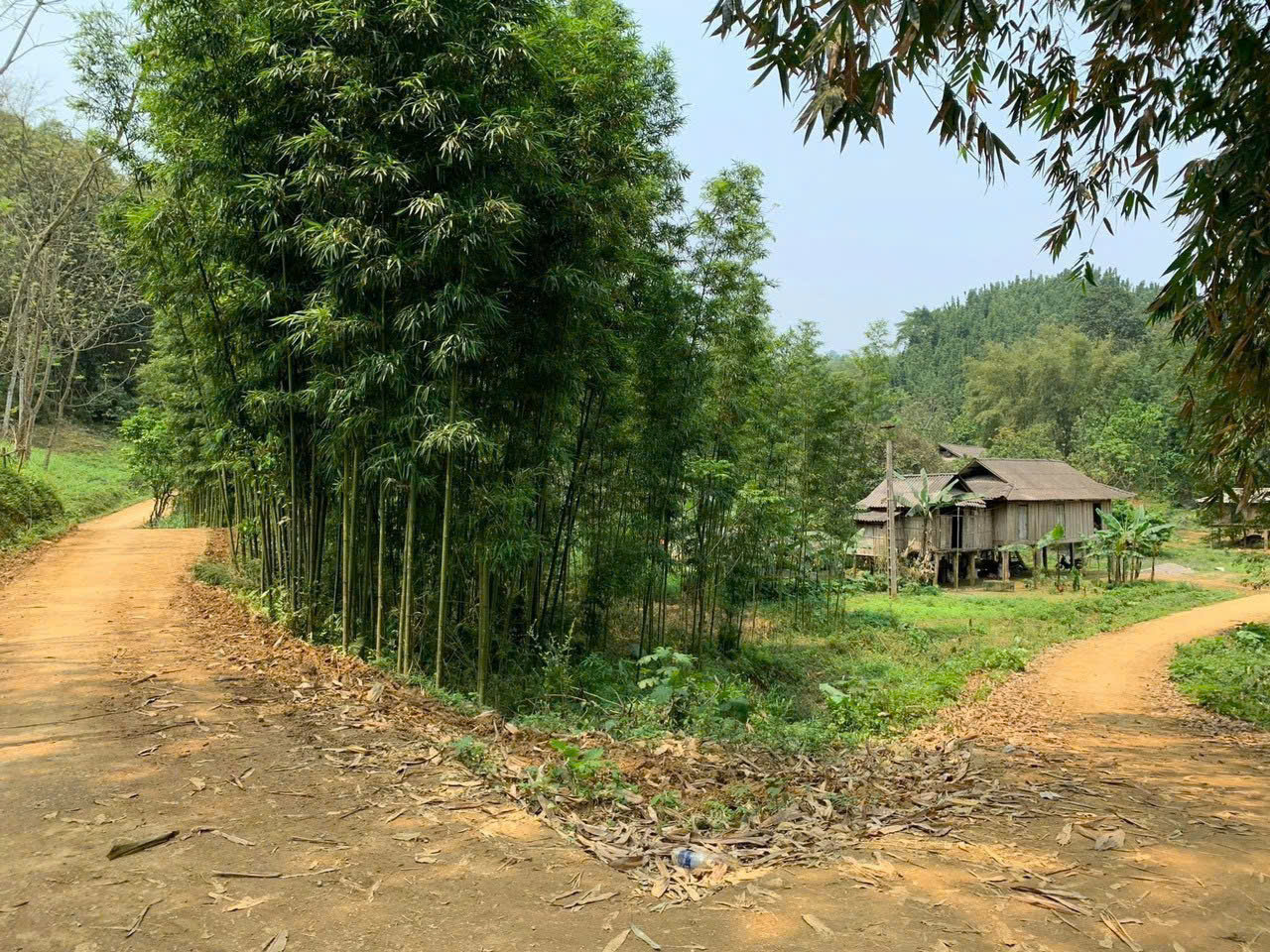 Hình ảnh Bán Lô Đất Nghỉ Dưỡng 1250m Bám Đường Bê Tông View Núi Thơ Mộng DÂn Cư Đông Đúc Đầy Đủ Tiện Ích Giá Đầu Tư