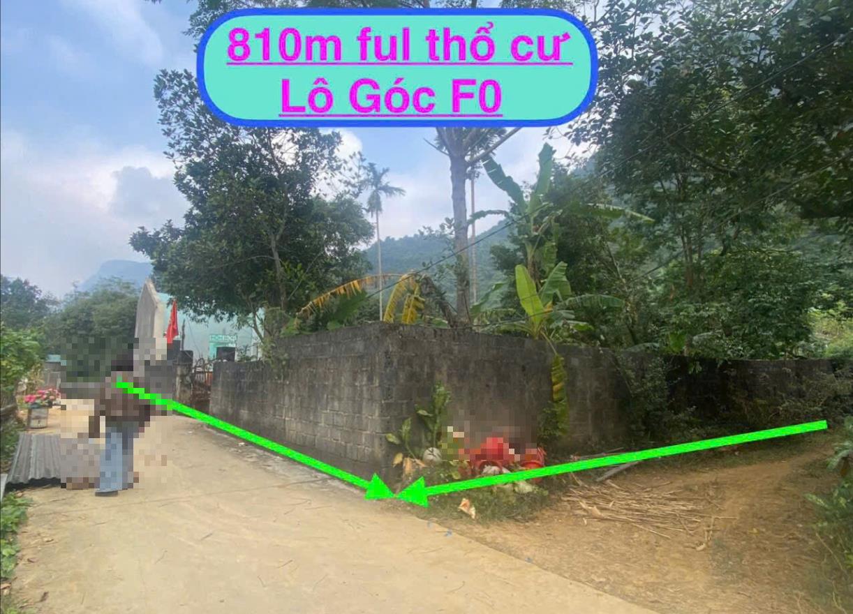Hình ảnh Bán Lô Đất 809m Tại Cố Nghĩa Lạc Thủy Bám Đường Bê Tông Ô Tô Vào Tận Đất Dân Cư Đông Đúc  Phù Hợp Làm Nghỉ Dưỡng Cách Ql21 Mấy Trăm Mét 