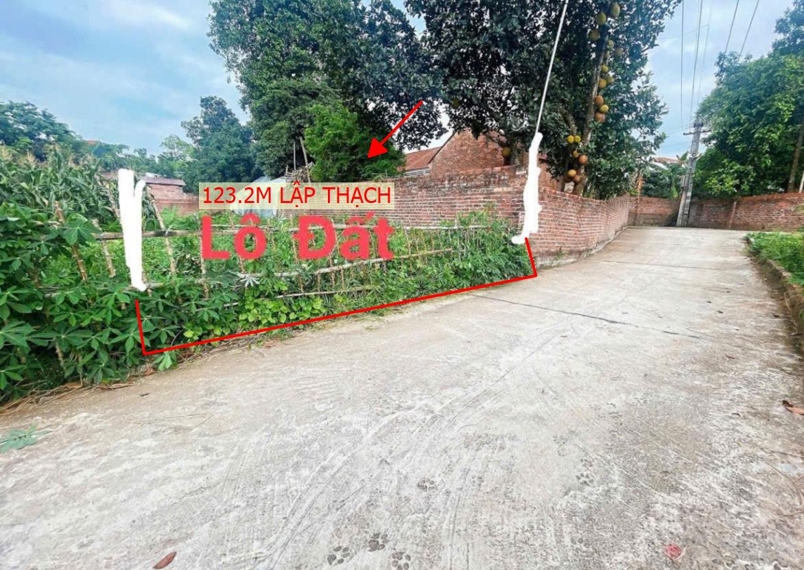 Hình ảnh Bán Lô Đất 123m Tại Tiên Lữ Lập Thạch Gần Nút Giao Cao Tốc Văn Quán Giá Mấy Trăm Triệu