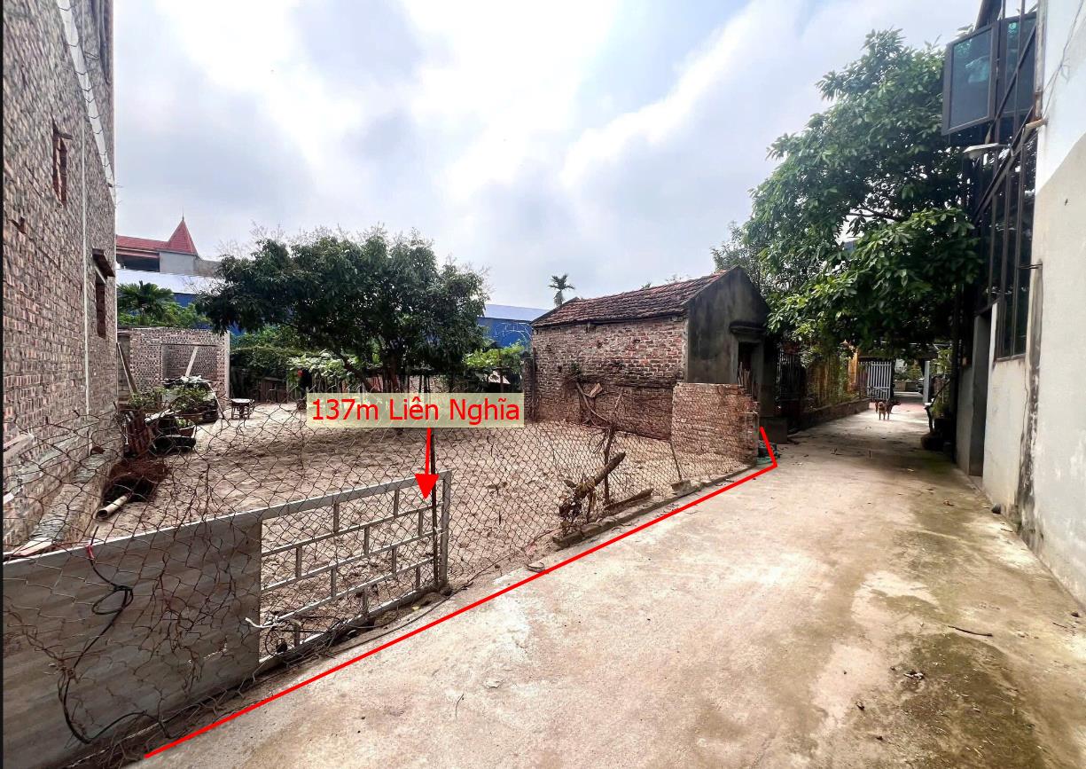 Hình ảnh Bán Lô Đất 135.7m Tại Liên Nghĩa Văn Giang Bám Đường Bê Tông Ô Tô Vào Tận Đất Cách Trục Chính Kinh Doanh 50m Dân Cư Đông Đúc Thân Thiện Giá Đầu Tư