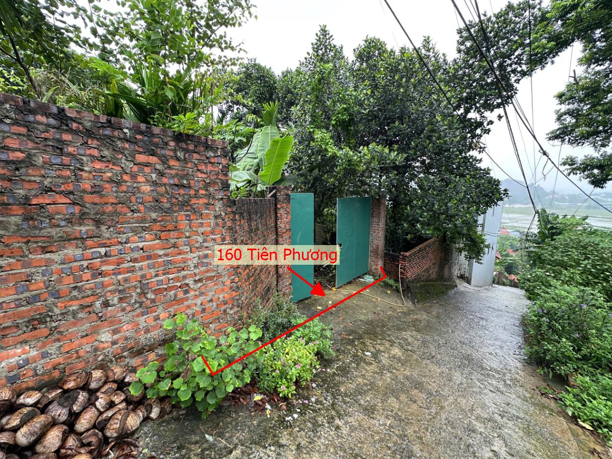 Hình ảnh Bất Động Sản Chương Mỹ Bán Thửa Đất 160m Khu Vực Tiên Phương Sát Trục Kinh Doanh Gần QL6A Đang Triển Khai Mở Rộng