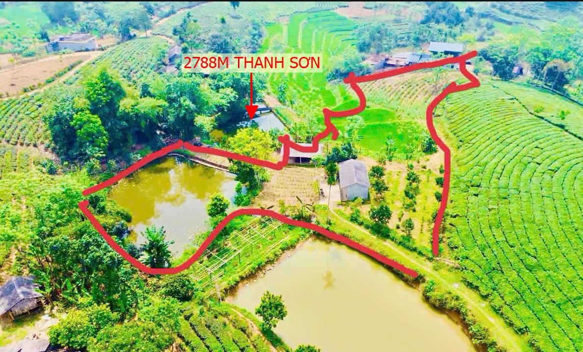 Hình ảnh Bán Lô Đất Nghỉ Dưỡng 2877m Tại Thanh Sơn View Thoáng Mát Quanh Năm Xung Quanh Đầy Đủ Tiện Ích Giá Đầu Tư