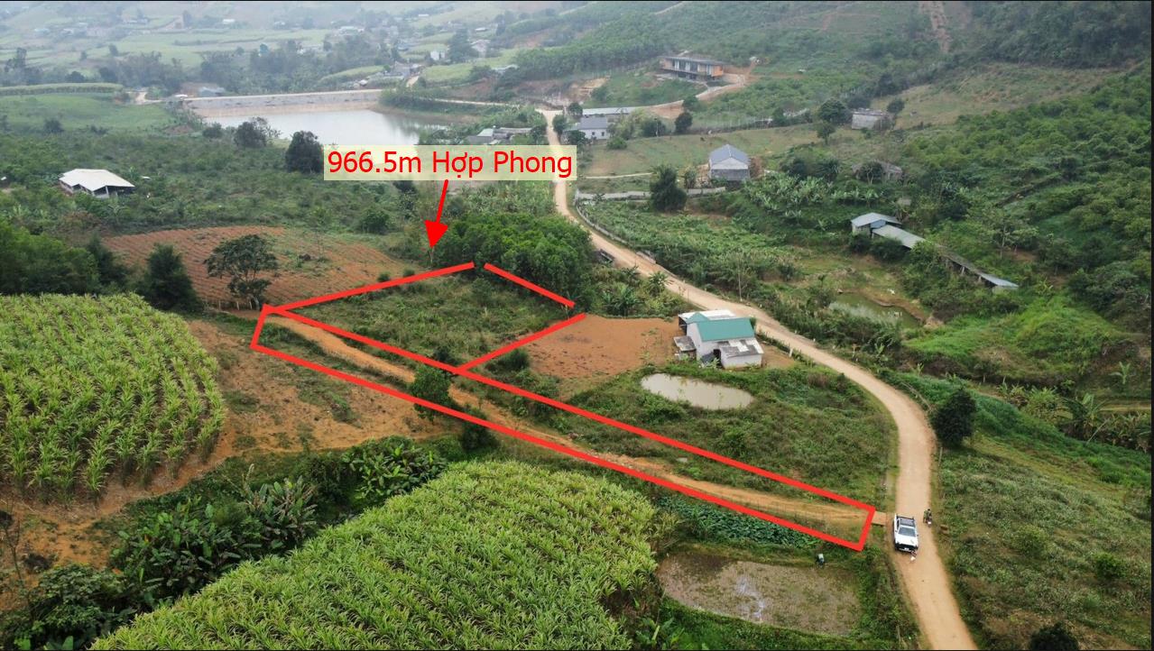 Hình ảnh Bán Lô Đất 966.5m Tại Cao Phong Bám Đường Bê Tông Ô Tô Vào Tận Đất Full Cây Trồng Cây Gần Nhiều Khu Du Lịch Giá Đầu Tư