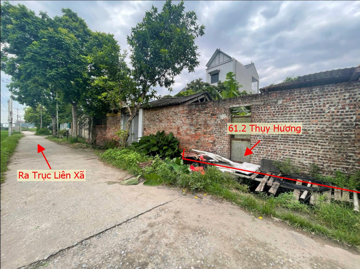 Hình ảnh Bán Đất Full Thổ Cư 61.2m Tại Thụy Hương Chương Mỹ Mặt Trục Chính Kinh Doanh Liên Xã