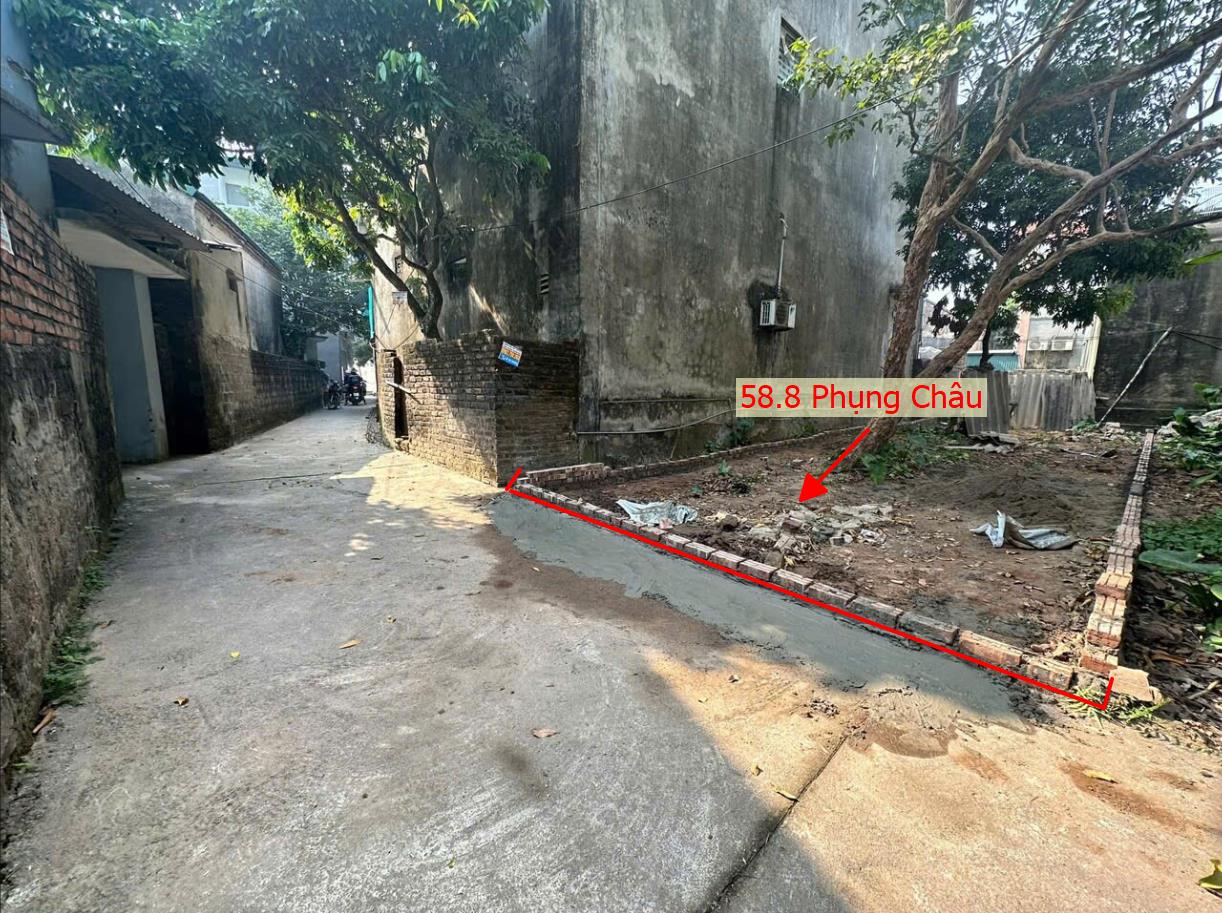 Hình ảnh Bán Đất Phụng Châu Full Thổ Cư Ngay Sau Trạm Y Tế Xã Phụng Châu 