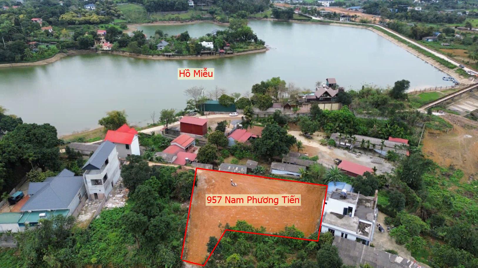 Hình ảnh Bán Thửa Đất 975m Tại Nam Phương Tiến Ngay Sát Hồ Miễu Cực Đẹp Gần Trục Chính Kinh Doanh 