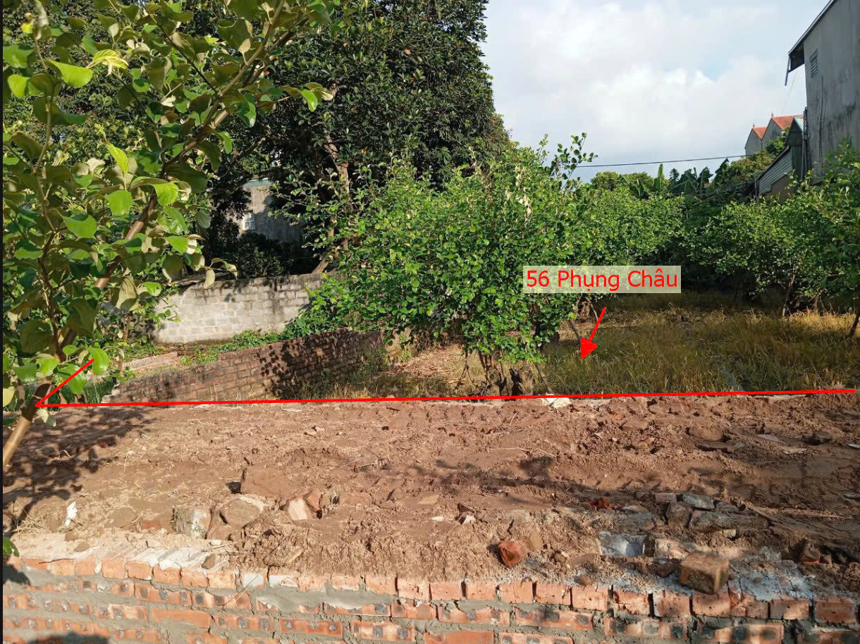 Hình ảnh Bán Đất Full Thổ Cư Gần Trục Kinh Doanh Liên Huyện Ngay Gần Trung Tâm Hành Chính Xã Phụng Châu
