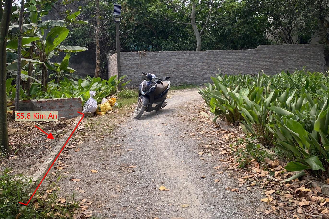 Hình ảnh Bán Đất Kim An Ô Tô Vào Tận Đất Gần Trục Chính Kinh Doanh Liên Xã Giá Chỉ Hơn Tỷ