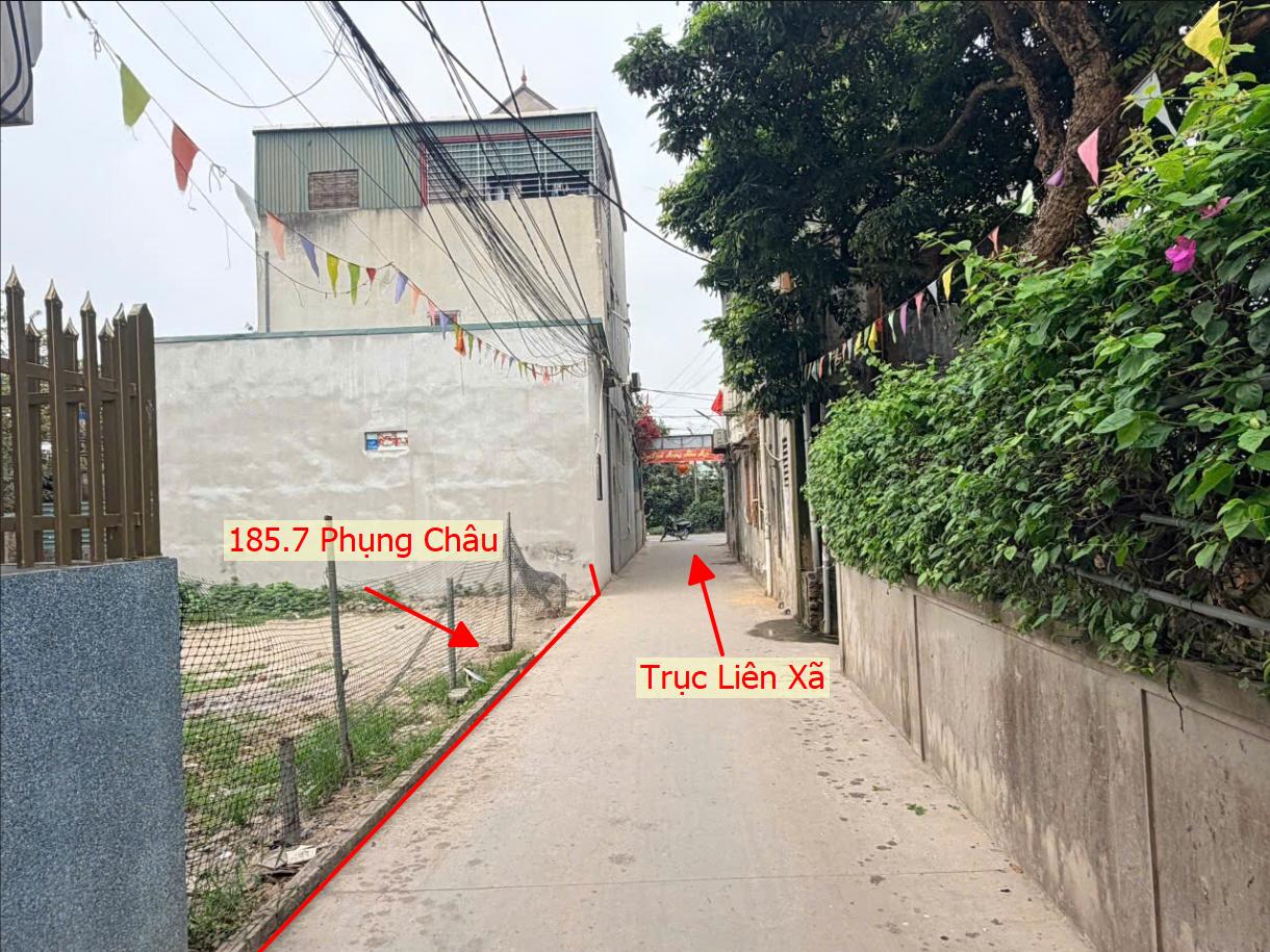 Hình ảnh Bất Động Sản Chương Mỹ Bán Đất Khu Vực Phụng Châu Full Thổ Cư Ngay Sát Trục Chính Kinh Doanh Liên Xã 