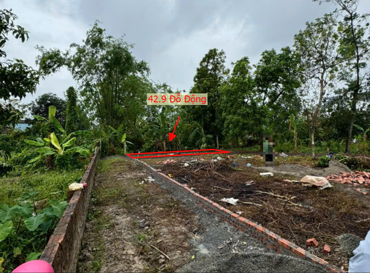 Hình ảnh Đất Phân Lô Đỗ Động Sát Trục Kinh Doanh Liên Xã Giáp Thị Trấn Kim Bài Giá ChirHonw Tỷ 