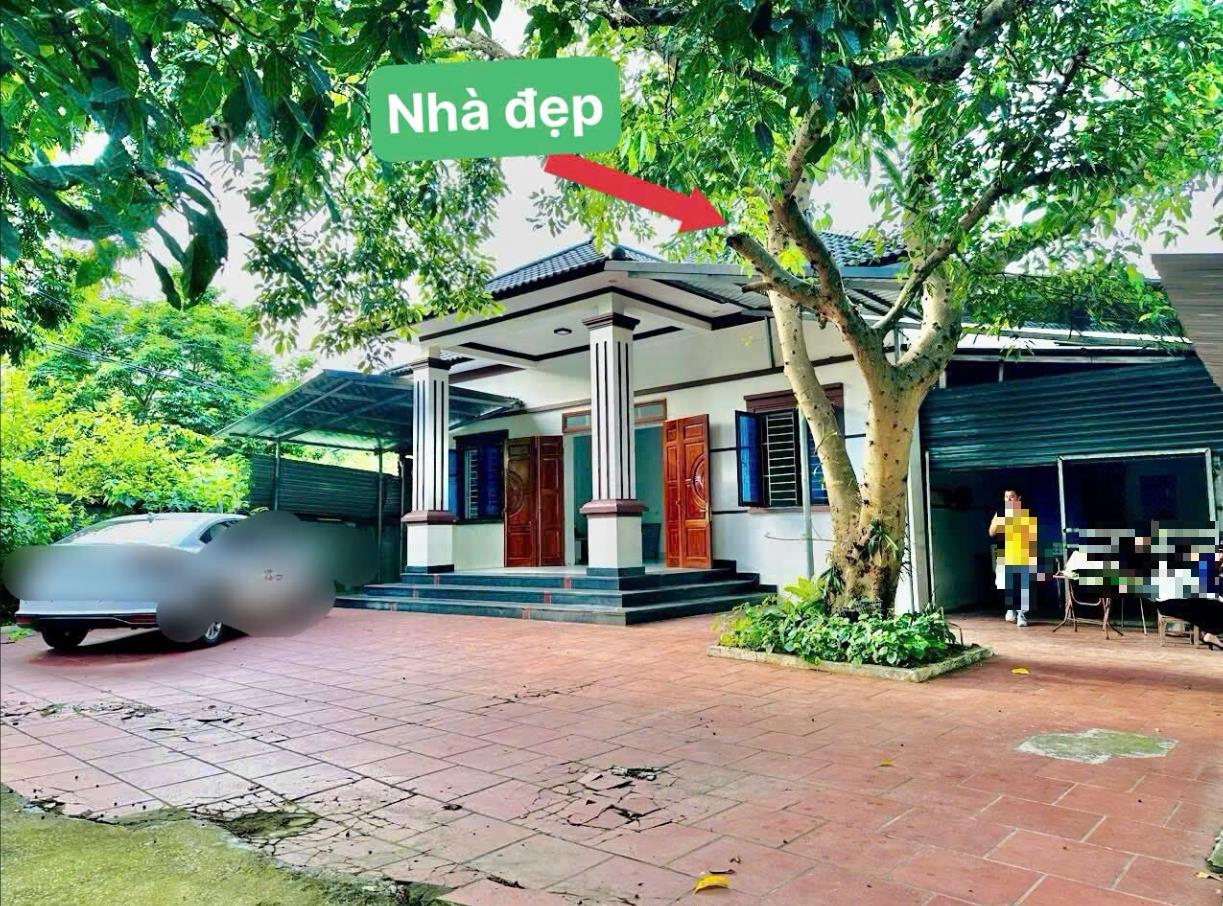 Hình ảnh Bán Lô Đất 1140.4m Tại Hoàng Hoa Tam Dương Bám Đường Bê Tông Ô Tô Vào Tận Đất Dân Cư Đông Đúc Thân Thiện Sẵn Nhà Chỉ Việc Về Ở Giá Đầu Tư