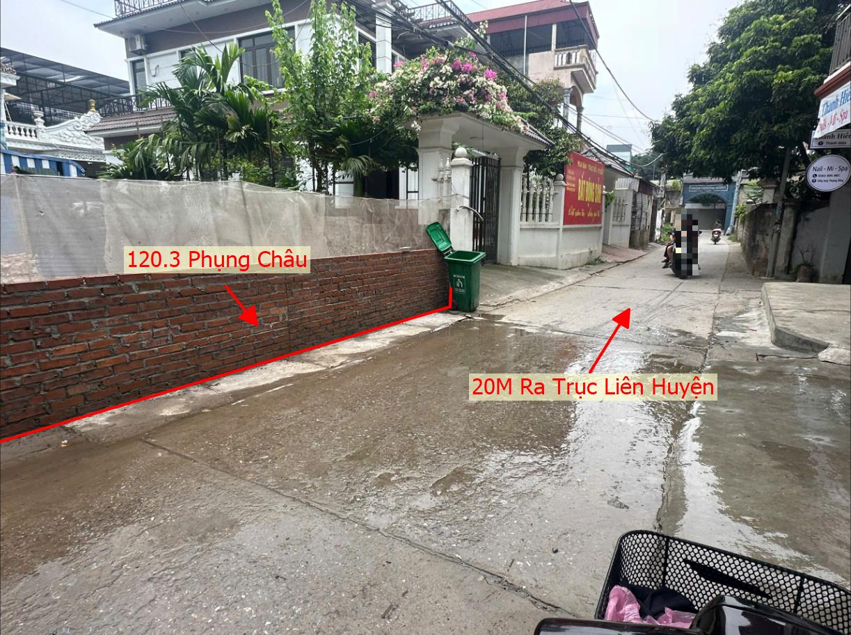Hình ảnh Bán Đất Full Thổ Cư 120.3m Tại Phụng Châu Chương Mỹ Sát Trục Chính Kinh Doanh Liên Huyện 