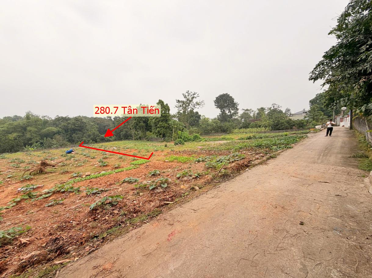 Hình ảnh Bán Đất Phân Lô Tân Tiến Ô Tô Đỗ Tận Đất Ngay Sát Trục Chính Kinh Doanh Liên Xã