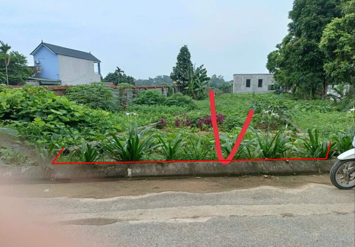 Hình ảnh Bán Lô Đất 61.6m Tại Đồng Trúc Thach Thất Bám Đường Bê Tông Ô Tô Vào Tận Đất Dân Cư Đông Dúc Thân Thiện Giá Rẻ Đầu Tư Sinh Lời