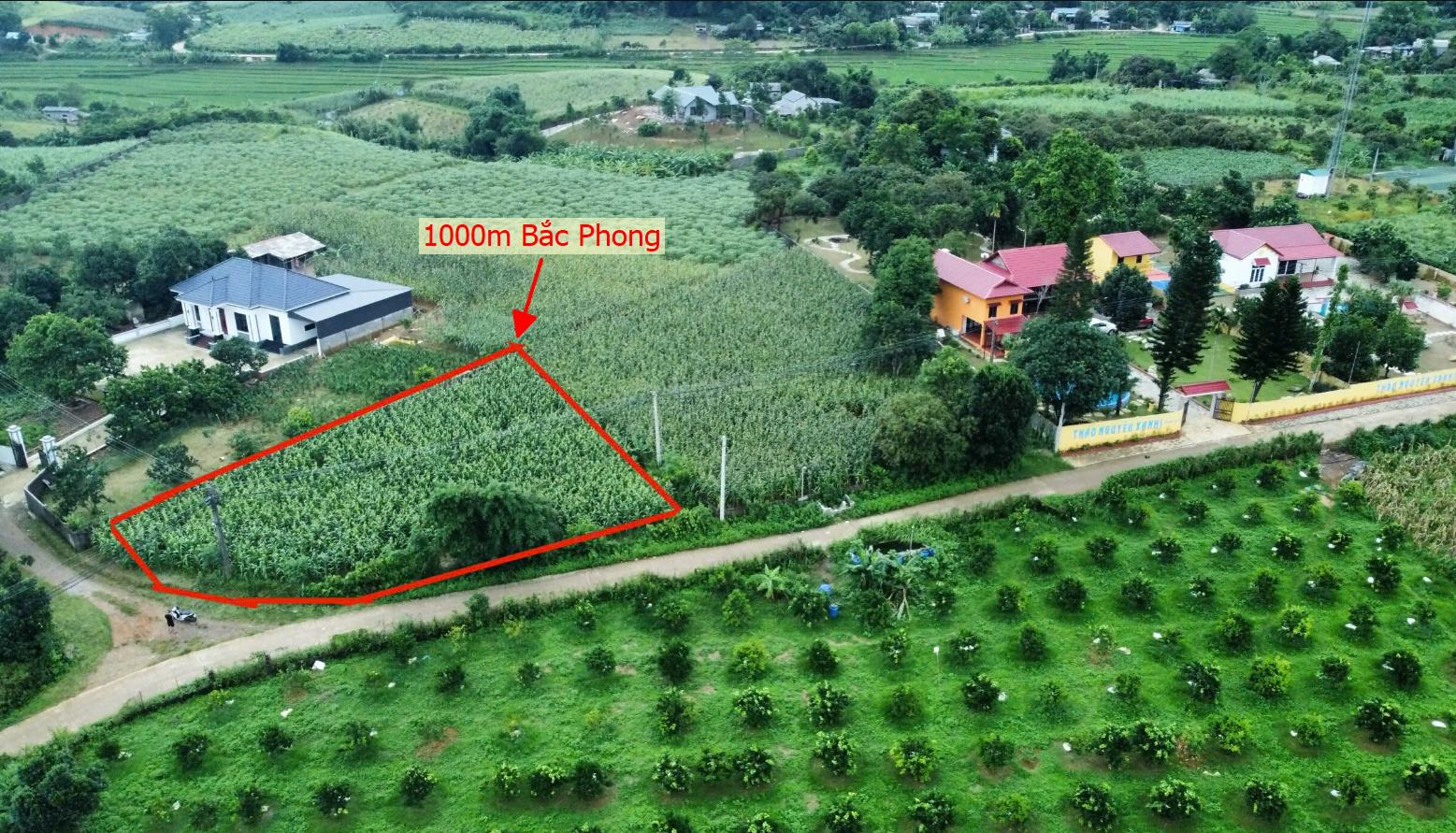 Hình ảnh Bán Lô Đất 1000m Tại Bắc Phong Cao Phong Bám Đường Bê Tông Ô Tô Vào Tận Đất Phú Hợp làm Nghỉ Dưỡng Giá Đầu TưDân Cư Đông