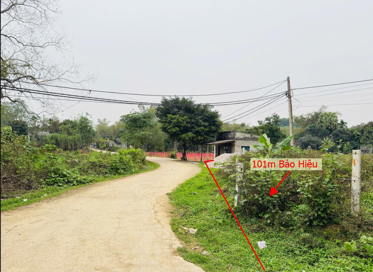 Hình ảnh Bán Lô Đất 101m Tại Bảo Hiệu Yên Thủy Bám Đường Bê Tông Ô Tô Vào Tận Đất Dân Cư Đông Đúc Thân Thiện Gần Chợ Trường Học Ủy Ban Giá Đầu Tư