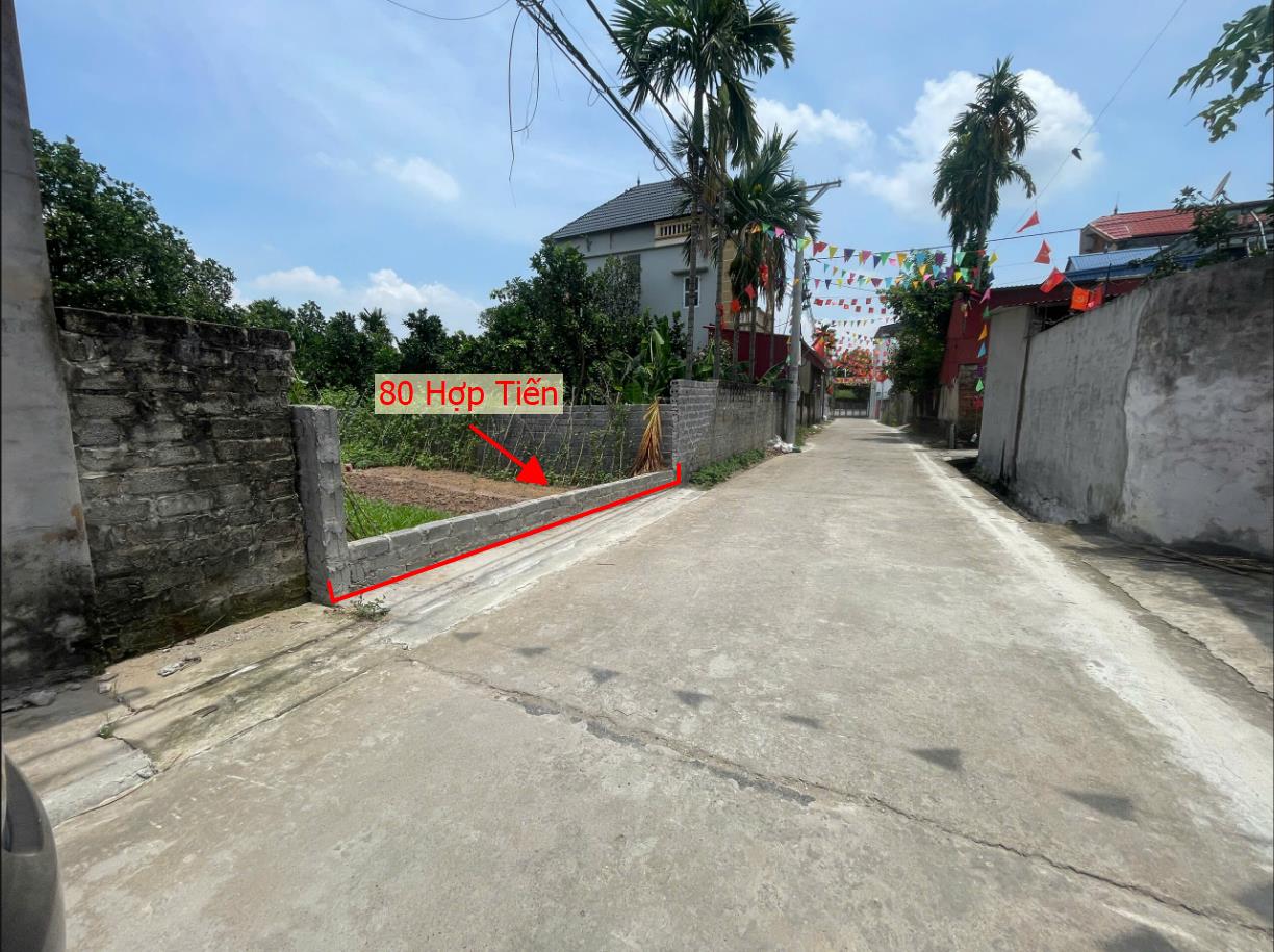 Hình ảnh Bán Thửa Đất 80m Tại Hợp Tiến Full Thổ Cư Đường Ô Tô Tránh Sát Trục Chính Kinh Doanh Liên Xã 