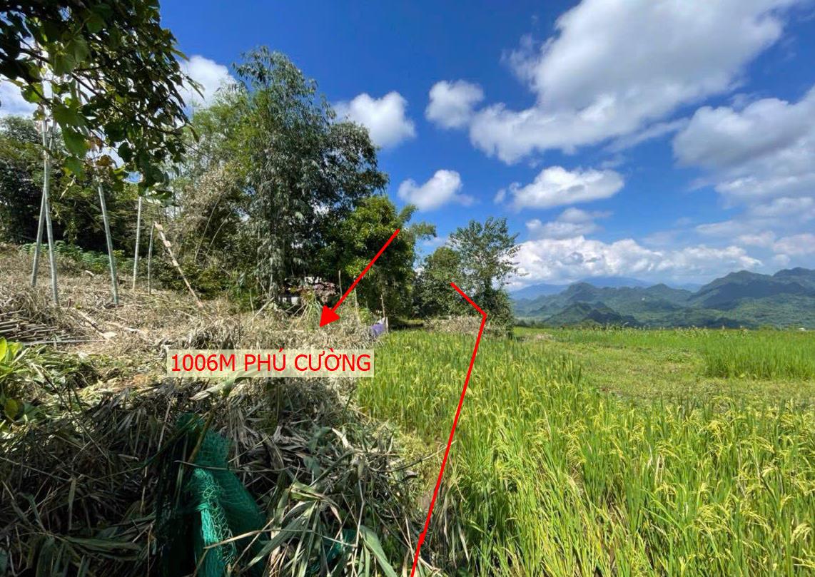 Hình ảnh Bán Lô Đất 1006m Tại Phú Cường Tân Lạc Cách QL6 1.5km Dân Cư Đông Đúc An Ninh Tốt