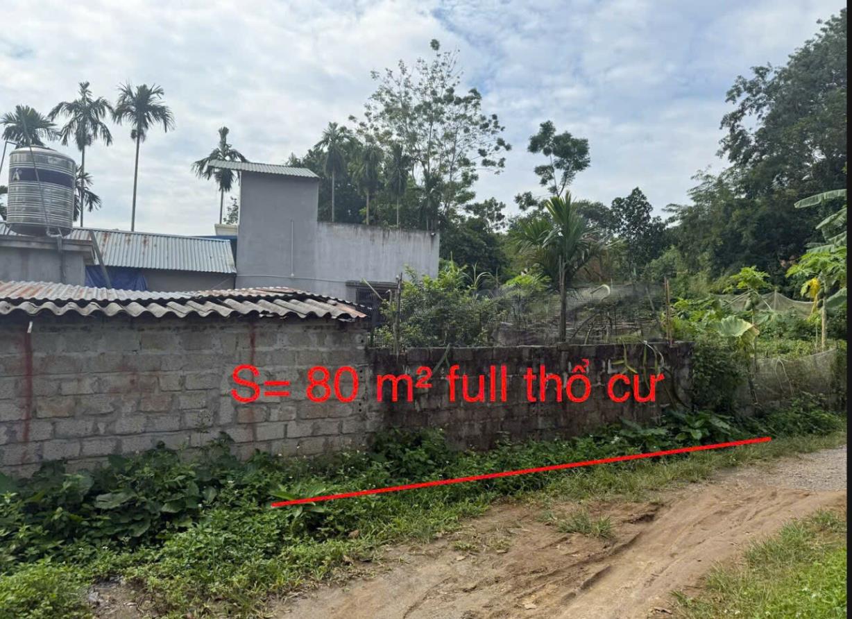 Hình ảnh Bán Lô Đất 80m Tại Thanh Cao Lương Sơn Bám Đường Bê Tông Ô Tô Vào Tận Đất Dân Cư Đông Đúc Thân Thiện  Gần Ql21 KCN Giá Đầu Tư