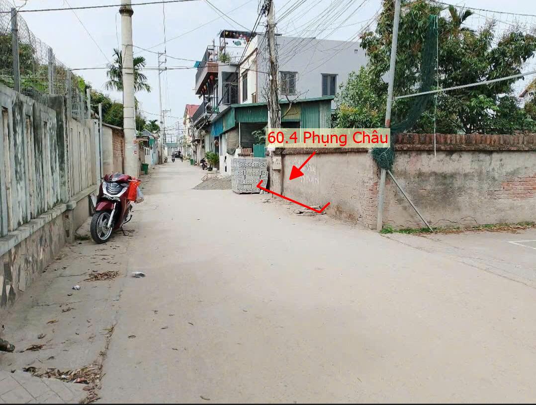 Hình ảnh Bất Động Sản Chương Mỹ Bán Đất Phân Lô Khu Vực Phụng Châu Ô Tô Đỗ Tận Đất Gần Trục Kinh Doanh Liên Xã