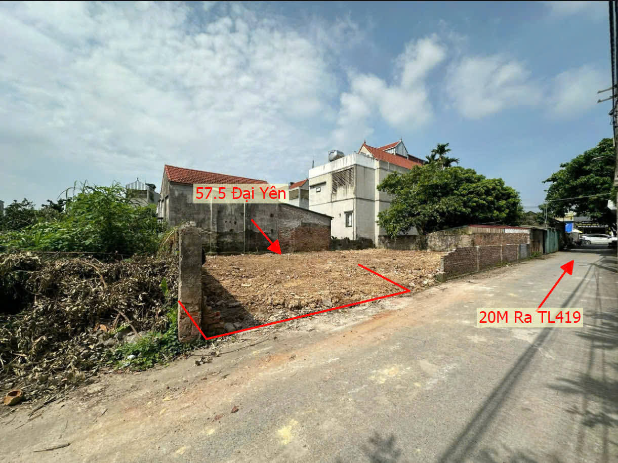 Hình ảnh Bán Đất Đại Yên Ô Tô Vào Tận Đất Ngay Sát Mặt Đường Kinh Doanh TL419 