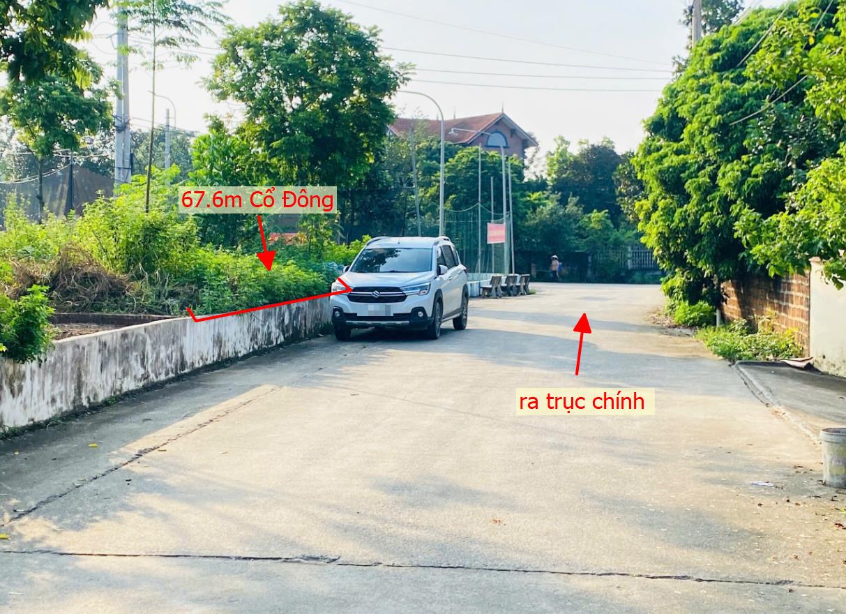 Hình ảnh Bán Lô Đất 67.6m Tại Cổ Đông Sơn Tây Bám Đường Bê Tông Ô Tô Vào Tận Đất Sát Trục Chính Kinh Doanh  Dân Cư Đông Phát Triển Giá Rẻ Đầu Tư