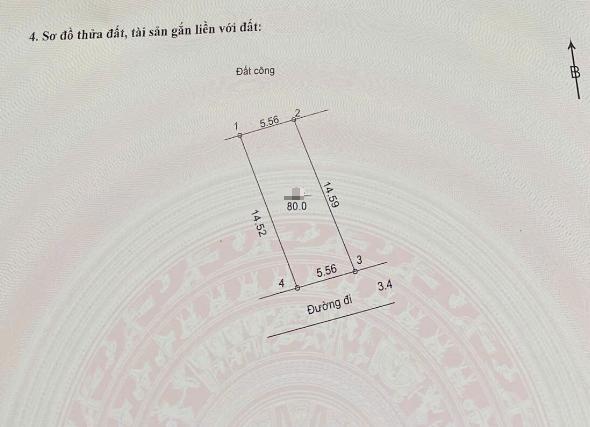Hình ảnh Đất Phân Lô Hoàng Diệu 80m Ngay Sát Trục Chính Kinh Doanh Liên Xã Giá Chỉ Hơn Tỷ