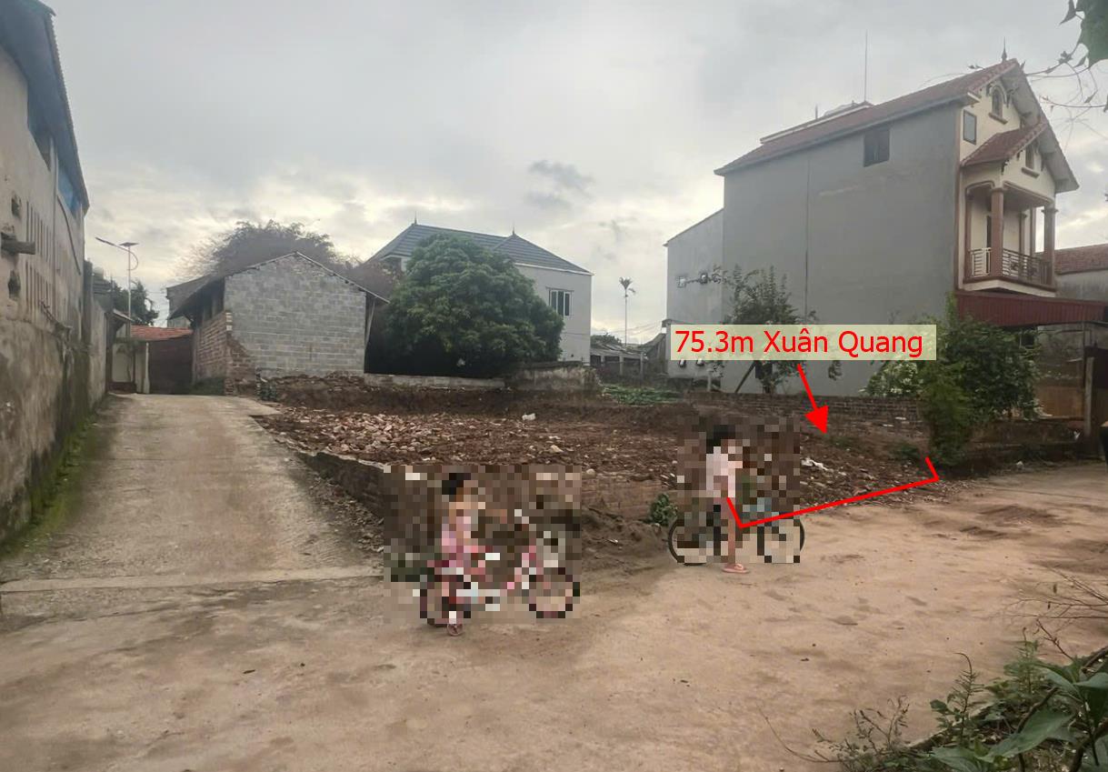 Hình ảnh Bán Lô Đất 75.3m Tại  Văn Giang Bám Đường Bê Tông Ô Tô Vào Tận Đất Gần Chợ Trường Học Xung Quanh Đầy Đủ Tiện Ích Giá Đầu Tư