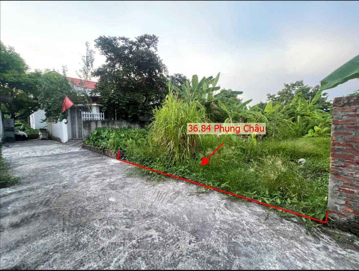 Hình ảnh Bán Thửa Đất 36.84m Tại Phụng Châu Sát Trục Chính Kinh Doanh Gần Khu Du Lịch Chùa Trầm